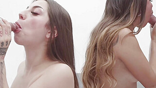 Camila.Palmer.And.Roma.Amor Porn Video